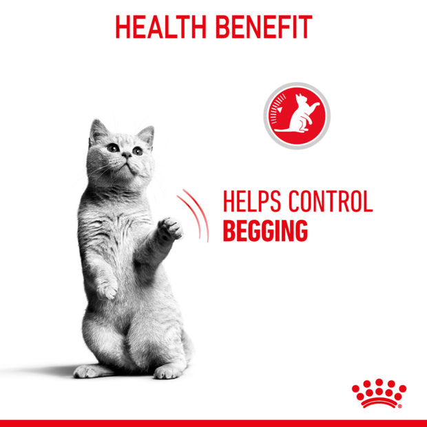 Royal Canin Appetite Control Gravy Wet Cat Food Pouches health benefit 1