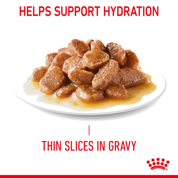 Royal Canin Appetite Control Gravy Wet Cat Food display