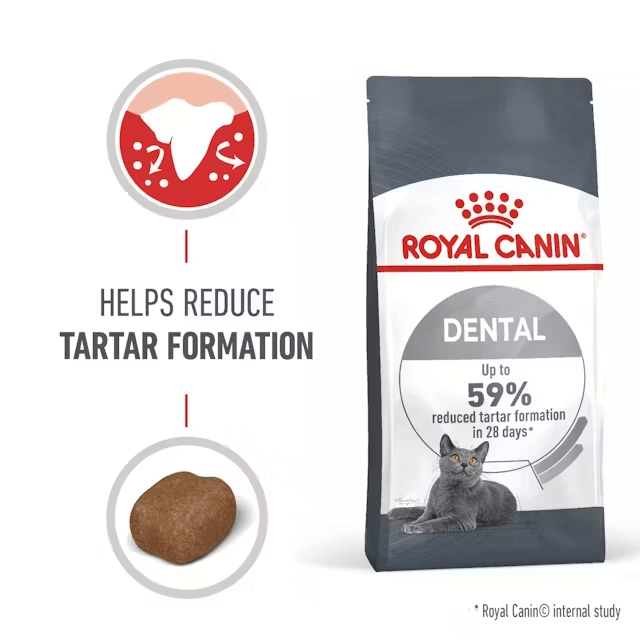 Royal Canin Dental cat food package with text about reducing tartar formation on a white background