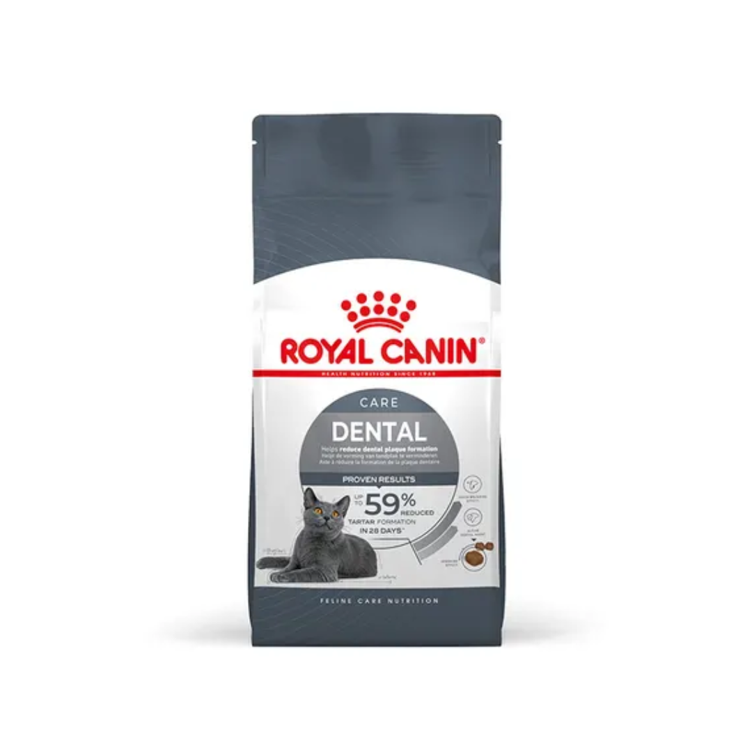 royal canin dental care adult dry cat food