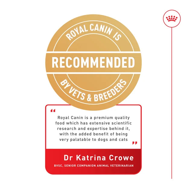 ROYAL CANIN Indoor Adult Jelly Wet Cat Food Pouch recommended by vet
