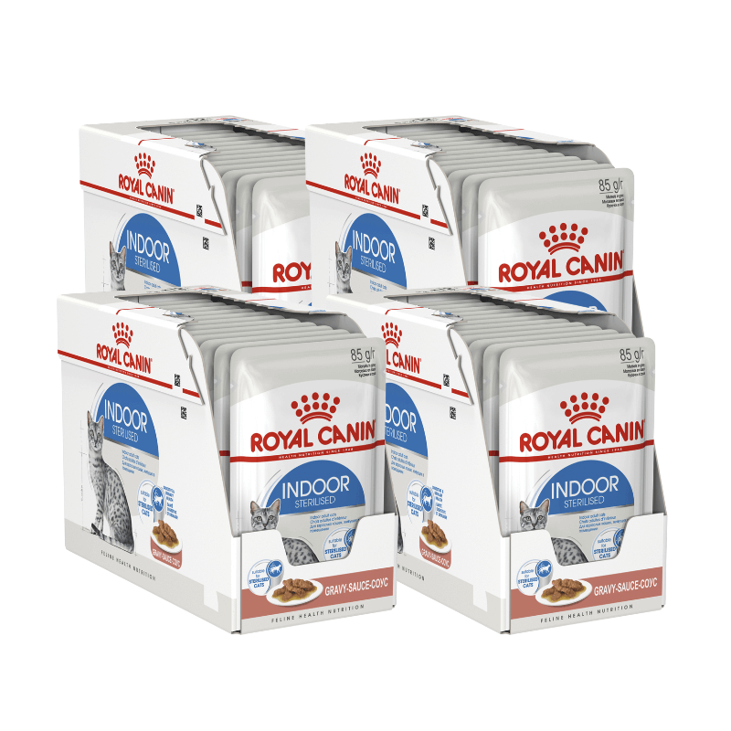 royal canin indoor wet cat food adult 85gx48pouches