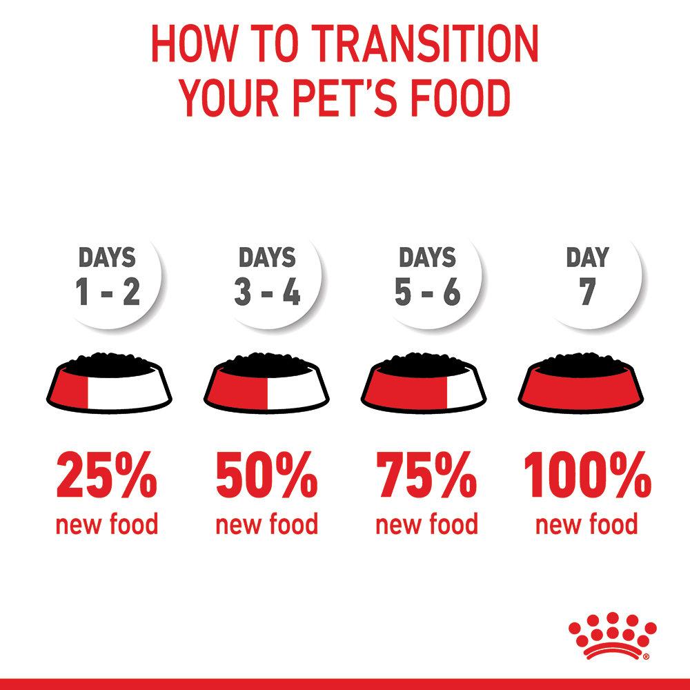 ROYAL CANIN Kitten Instinctive Loaf Wet Cat Food Pouches 85Gx12