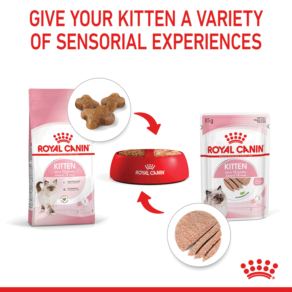 ROYAL CANIN Kitten Instinctive Loaf Wet Cat Food Pouches 85Gx12