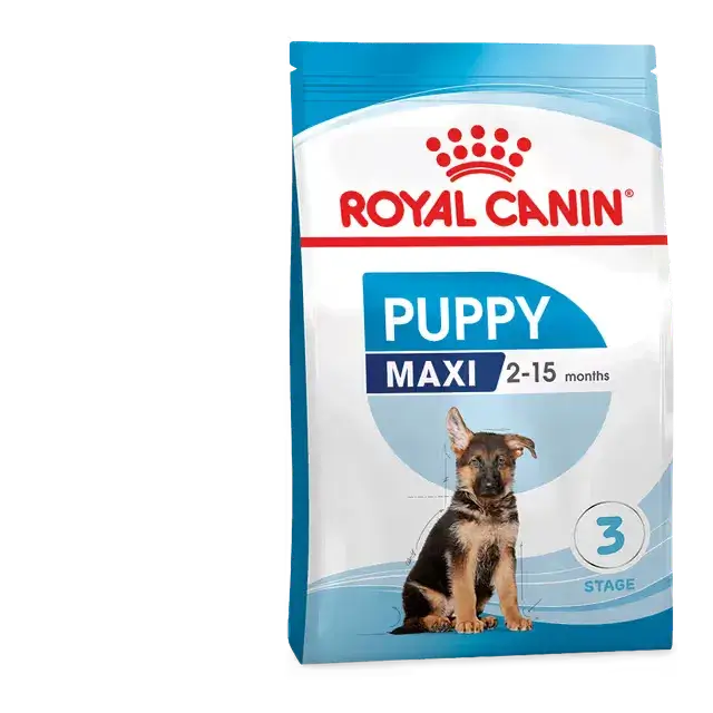 Front view of Royal Canin Maxi Puppy dry dog food packaging for large breed puppies aged 2 to 15 months, with immune and brain development support.