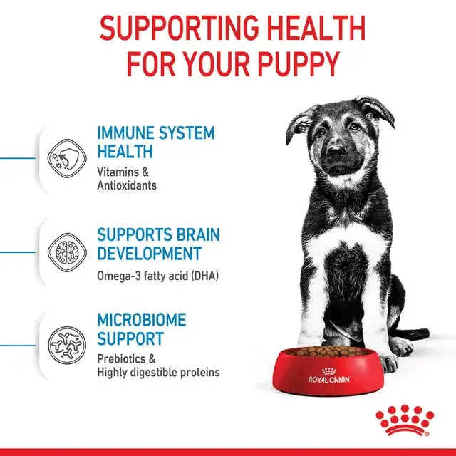 Royal Canin Maxi Puppy dry dog food benefits including immune system health, brain development with DHA and digestive support with prebiotics.