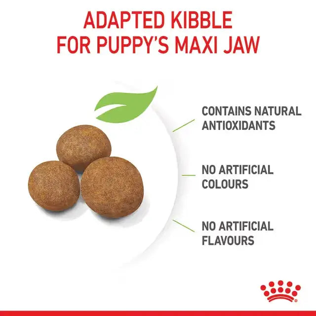 Royal Canin Maxi Puppy dry dog food round kibble adapted for large puppy jaws, containing natural antioxidants with no artificial colours or flavours.