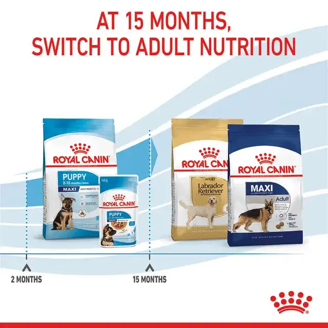 Royal Canin Maxi Puppy feeding stage timeline showing the transition to Maxi Adult or breed-specific adult dog food at 15 months.