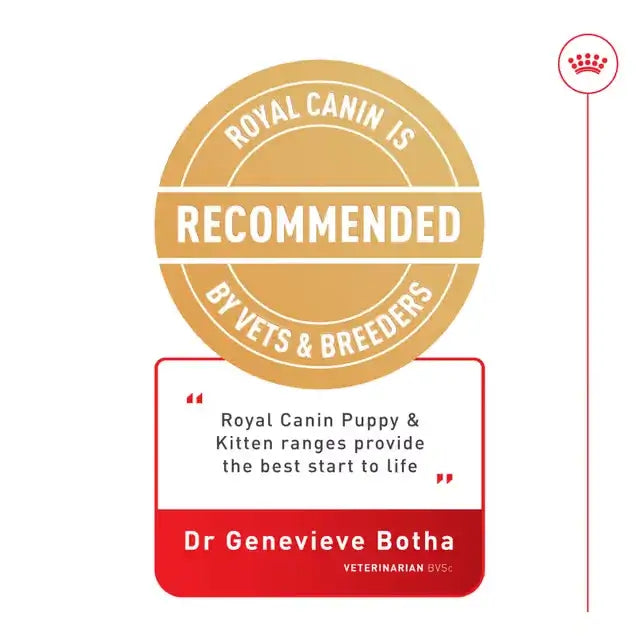 Royal Canin puppy nutrition recommendation graphic featuring a veterinarian testimonial and Royal Canin puppy and kitten ranges.