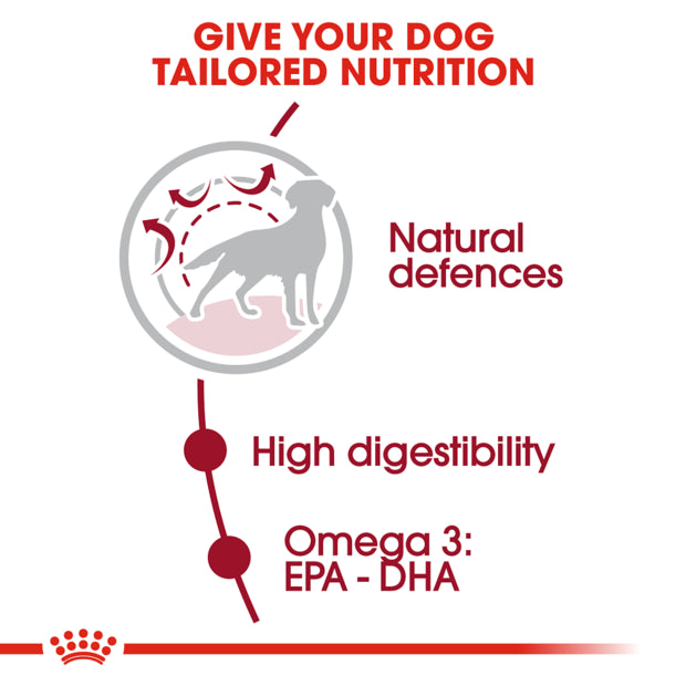 ROYAL CANIN Medium Adult Dry Dog Food features