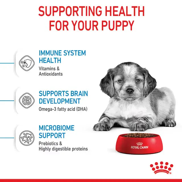 Royal Canin Medium Puppy dry dog food benefits including immune system support, brain development with DHA and digestive health with prebiotics.