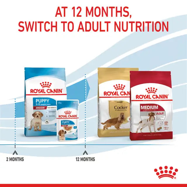 Royal Canin Medium Puppy feeding stage timeline showing the transition from puppy food to medium adult dog food at 12 months.