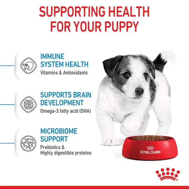 Royal Canin Mini Puppy dry dog food benefits including immune system health, brain development with DHA and digestive support with prebiotics.