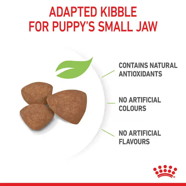 Royal Canin Mini Puppy dry dog food kibble adapted for small puppy jaws, with natural antioxidants and no artificial colours or flavours.