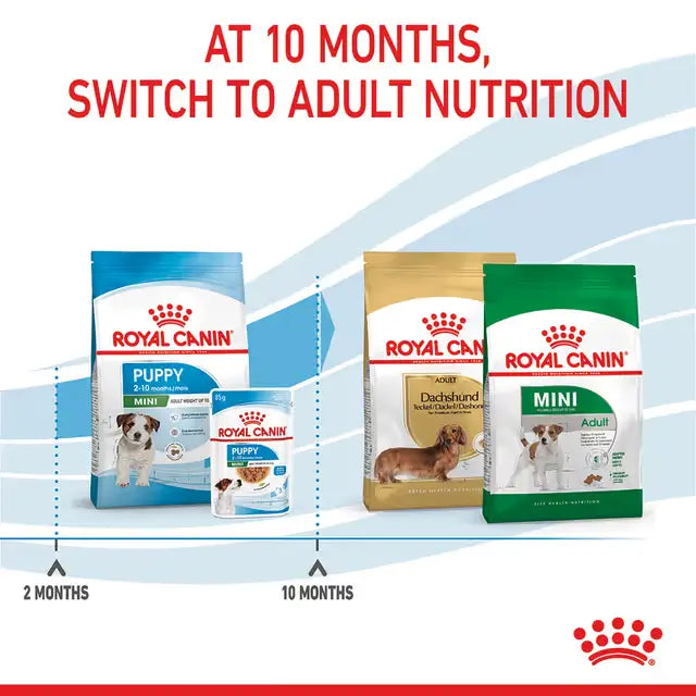 Royal Canin puppy nutrition recommendation graphic featuring a veterinarian testimonial and Royal Canin puppy and kitten ranges.