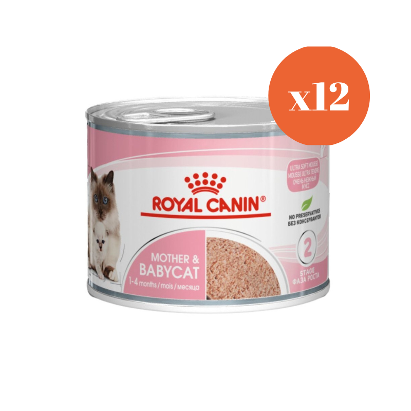 royal canin mother and baby wet cat food 195gx12