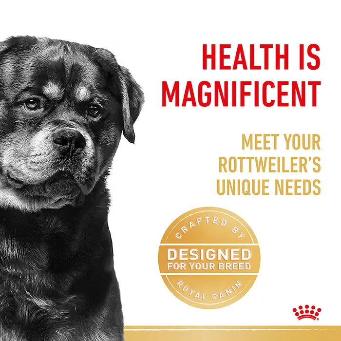 Royal Canin Rottweiler Adult breed-specific nutrition designed to meet the unique needs of Rottweilers