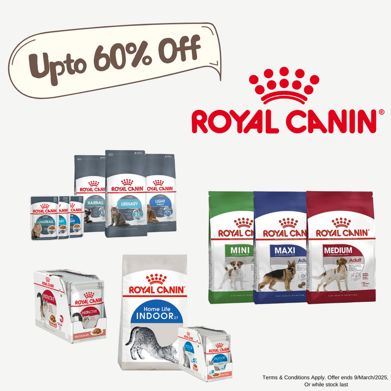 royal canin save upto 60% off sale poster