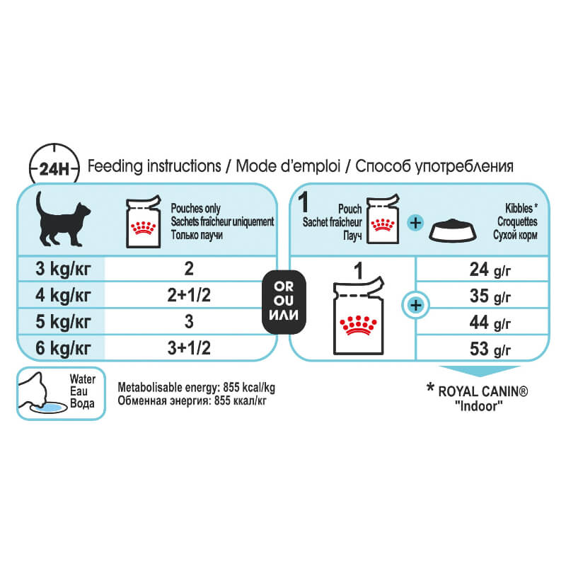royal canin sensory feel gravy wet cat food feeding guide