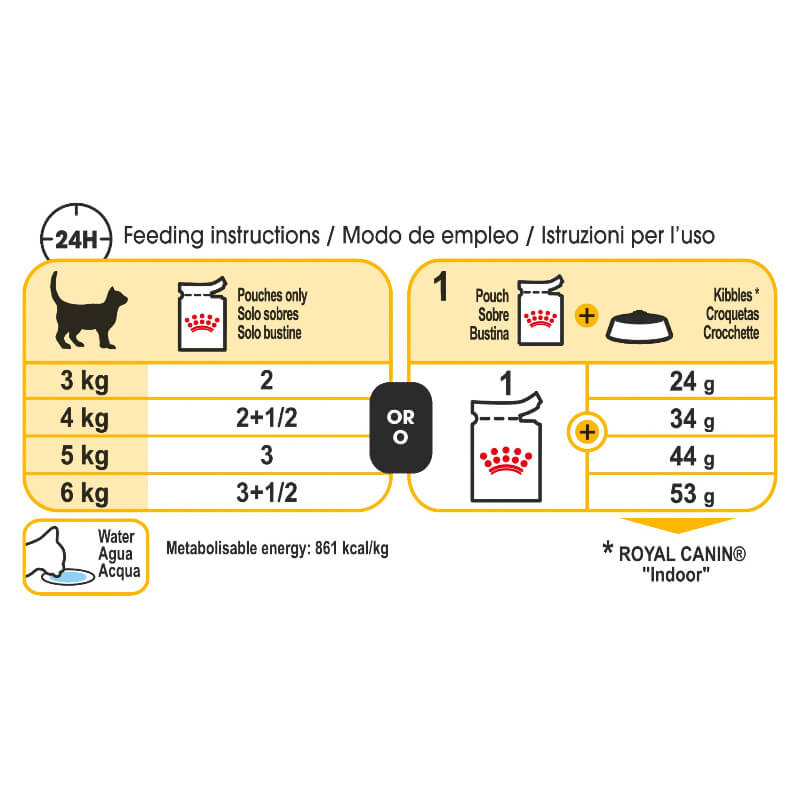 Royal Canin Sensory Taste Chunks Gravy Wet Cat Food Pouches feeding guide