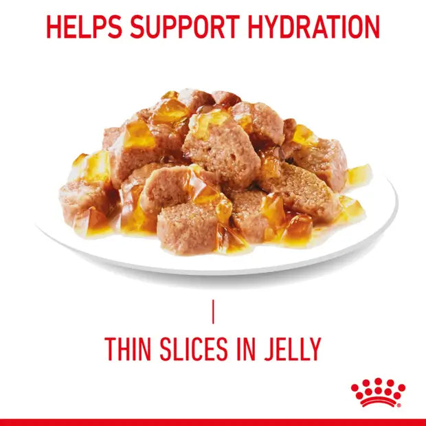 Royal Canin Urinary Care Jelly Wet Cat Food Pouches display