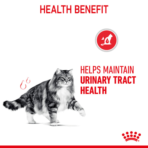 Royal Canin Urinary Care Jelly Wet Cat Food Pouches health benefits