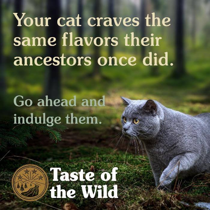 taste of the wild dry cat food lifestyle