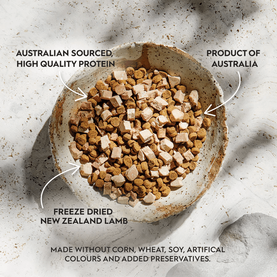 trilogy adult dry cat food with freeze-dried lamb bites cat food display