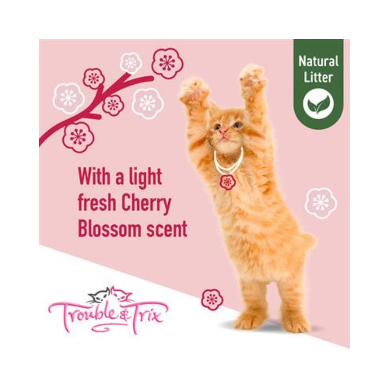 Trouble & Trix cat litter with light fresh cherry blossom scent and playful orange kitten.
