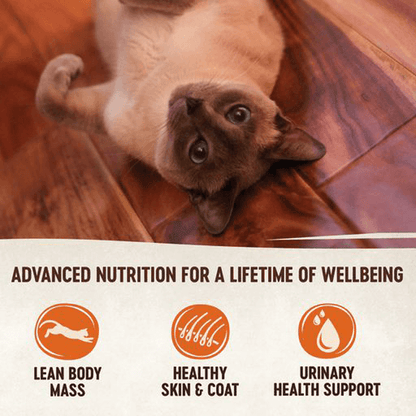 Wellness CORE Tender Cuts wet cat food benefits