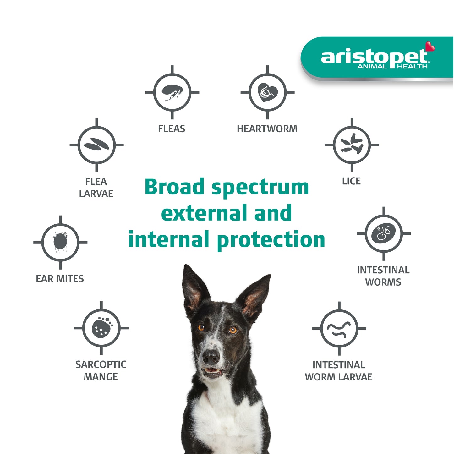 Aristopet Spot-on Flea & Worming For Dogs 10-25KG 3pack *Clearance Expire 31/08/24*