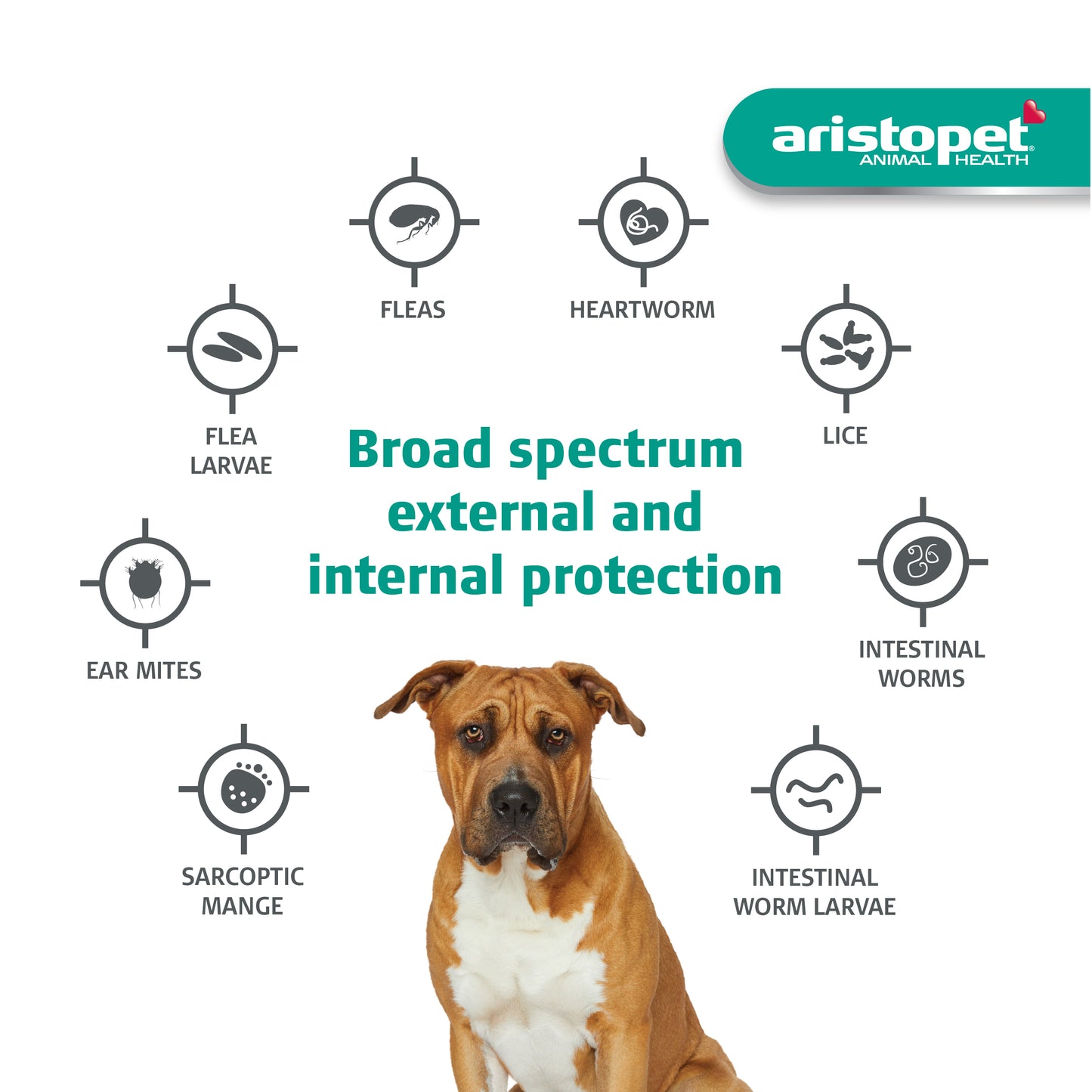 Aristopet Spot-on Flea & Worming For Dogs Over 25kg 3pack *Clearance Expire 30/09/24*
