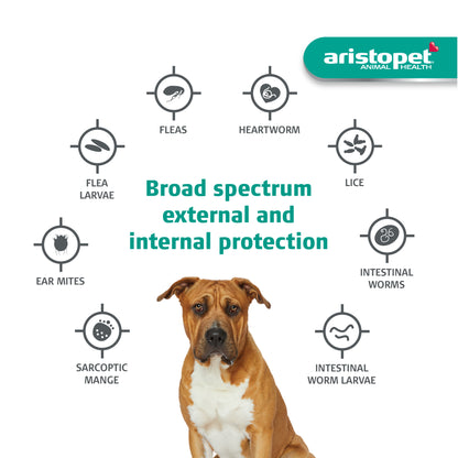 Aristopet Spot-on Flea & Worming For Dogs Over 25kg 6pack *Clearance Expire 30/09/24*