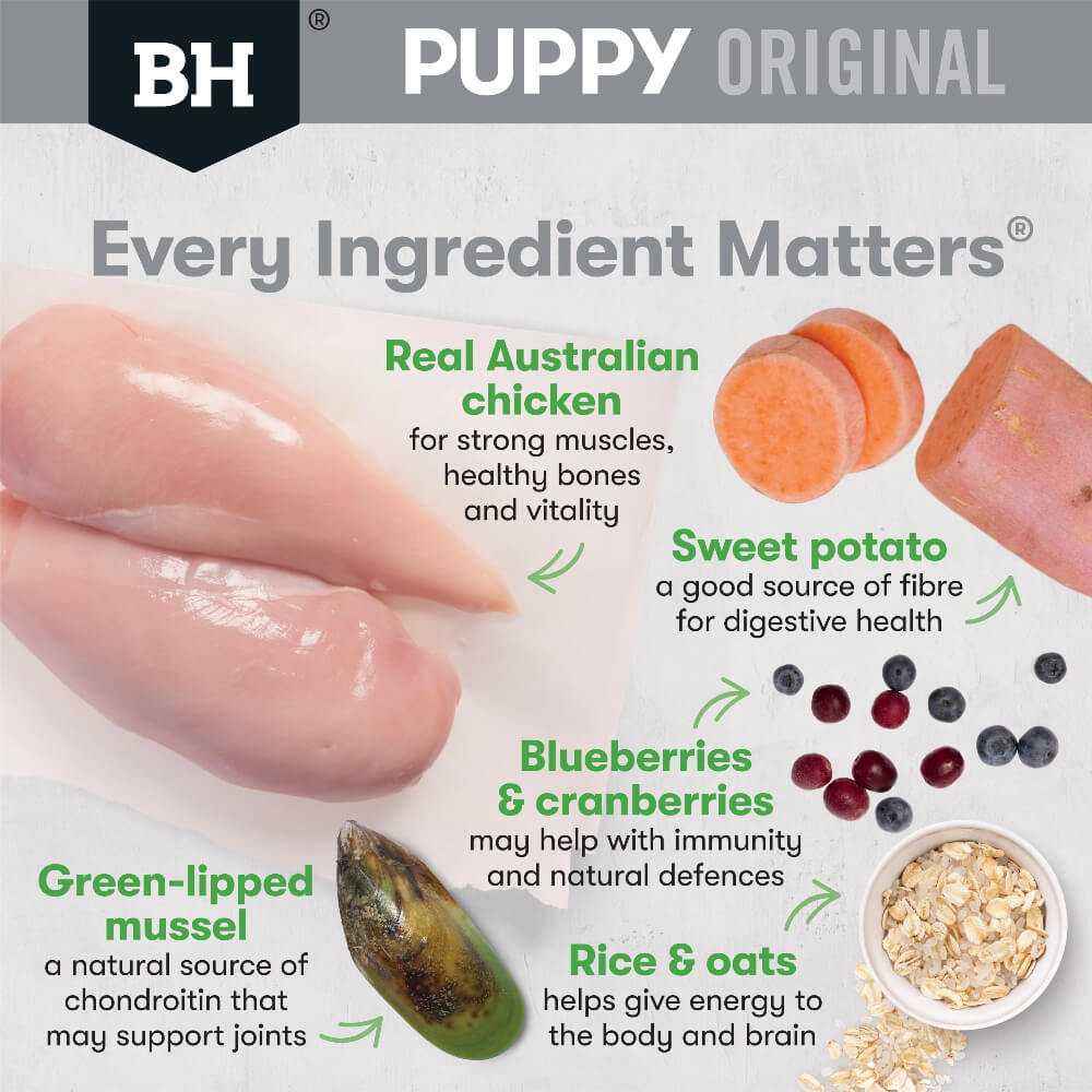 BLACK HAWK Large Breed Puppy Dry Dog Food Chicken & Rice ingredients benefits and features