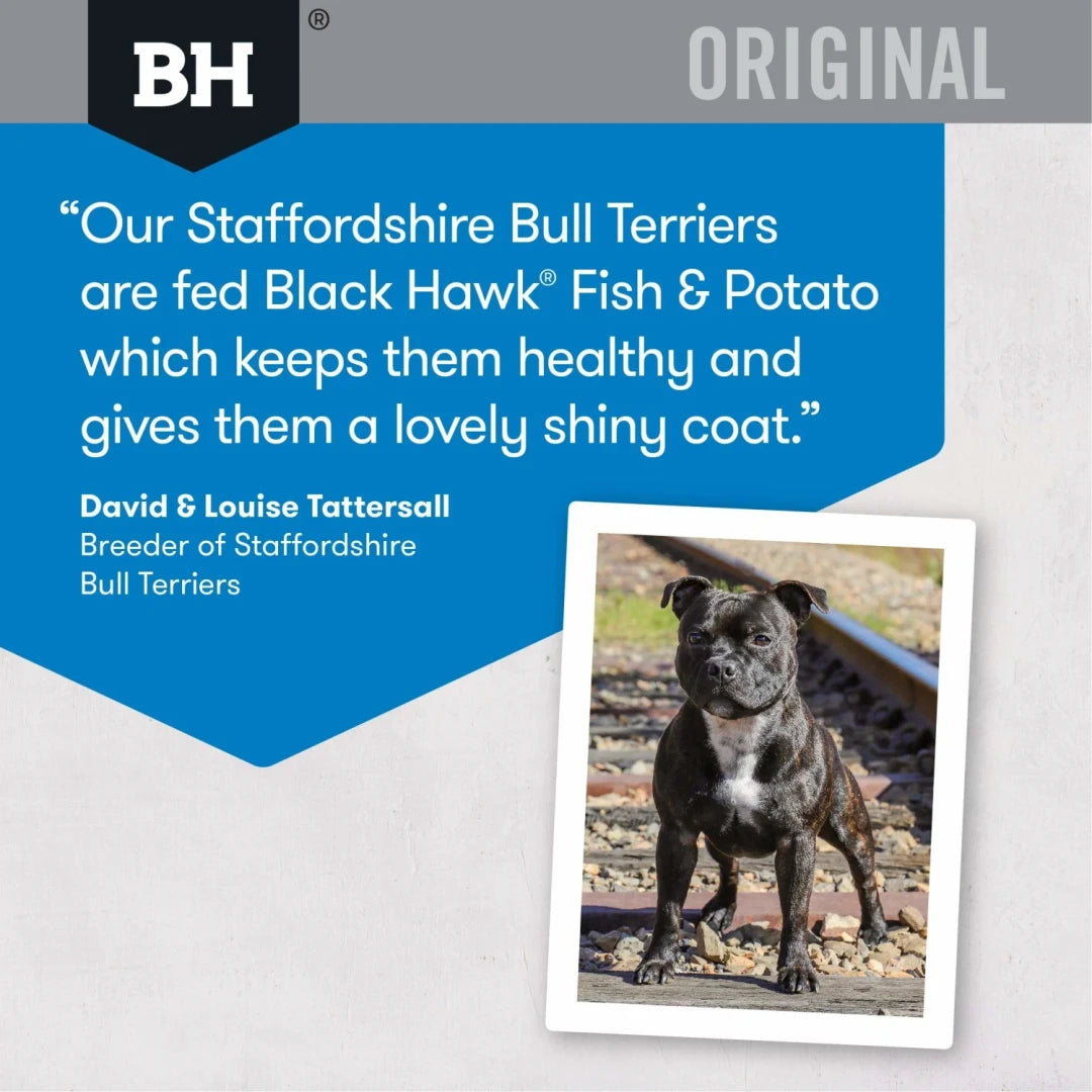 Black Hawk Dry Dog Food Adult Fish & Potato customer review