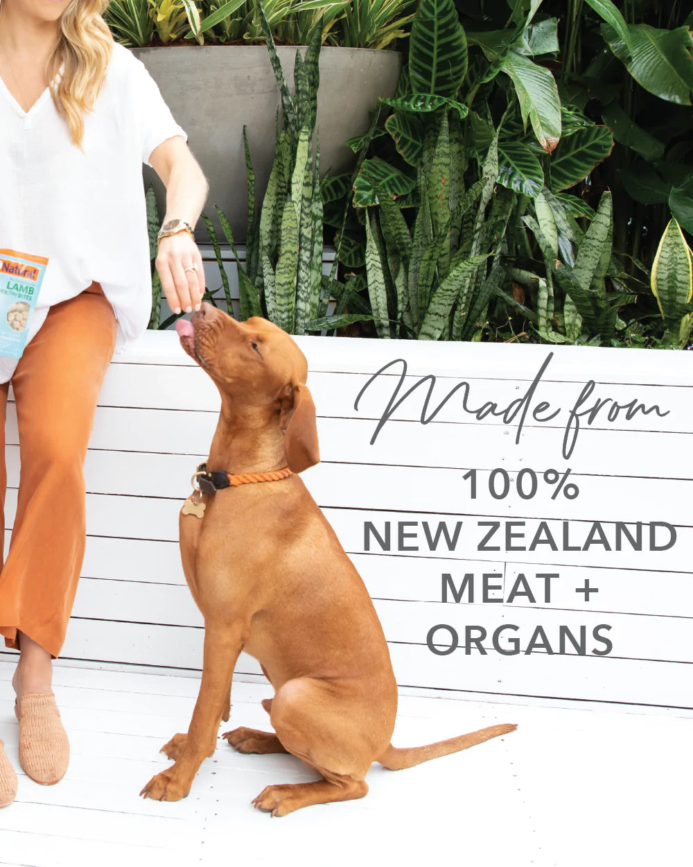 K9 Natural Dog Treats Air Dried Lamb Lung Protein Bites 50G ADS Pet Store