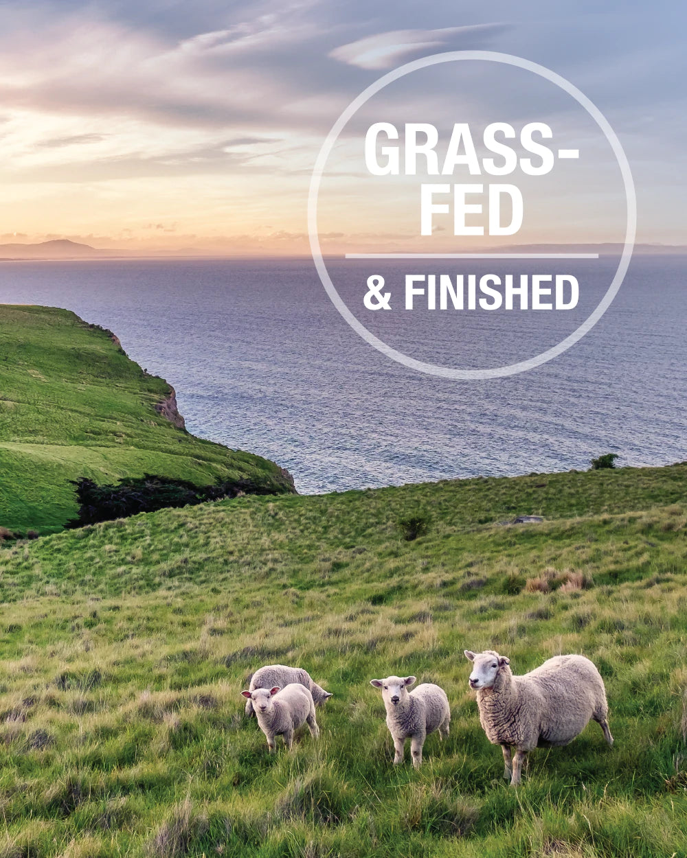 K9 natural 2024 green tripe booster