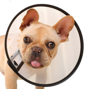 Adjustable Elizabethan Collar Protection Cone #10 - ADS Pet Store