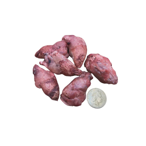 Freezy Paws Freeze-Dried Chicken Heart Raw Treats for Pet Cat Dog 100G - ADS Pet Store