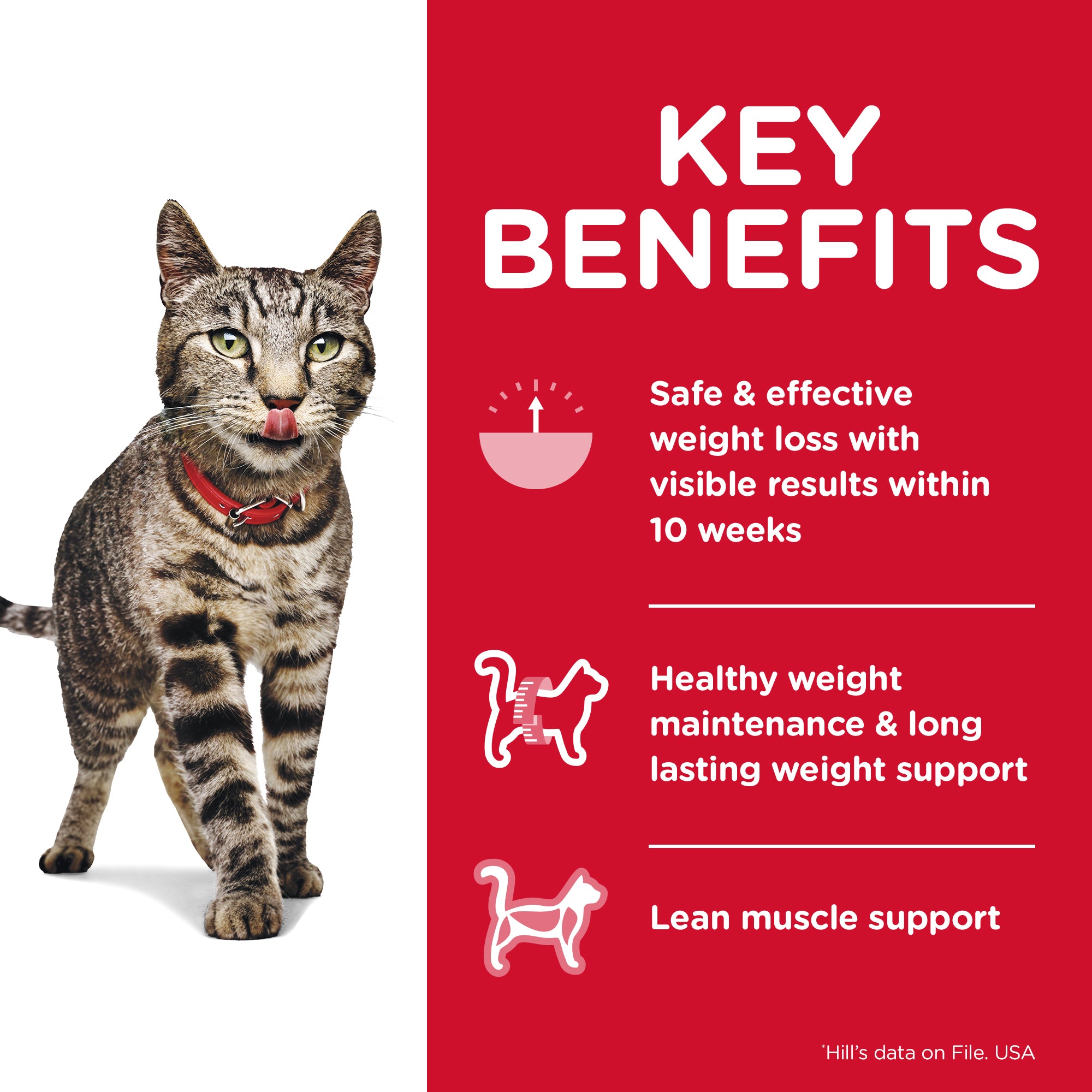 Hill's Science Diet Adult Perfect Weight Dry Cat Food 3.17KG - ADS Pet Store