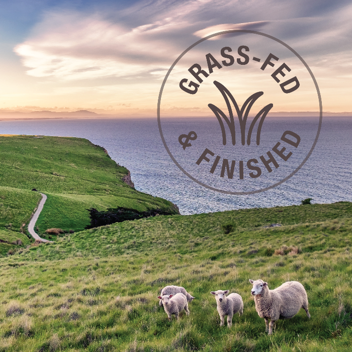 K9 NATURAL Freeze-Dried Lamb Healthy Bites Dog Treats 50G grass-fed and finished