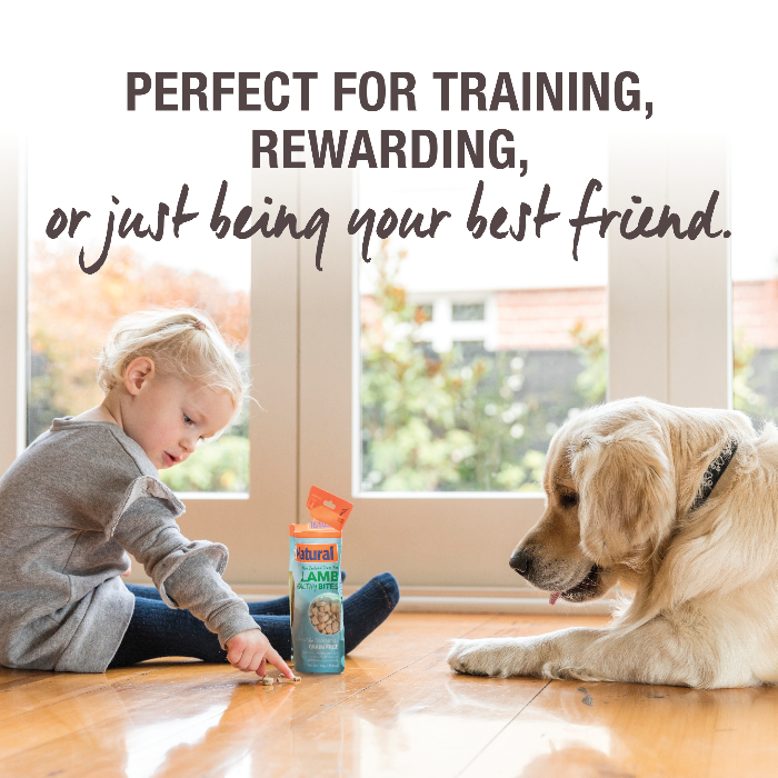 K9 NATURAL Freeze-Dried Lamb Healthy Bites Dog Treats 50G perfect for training and rewarding