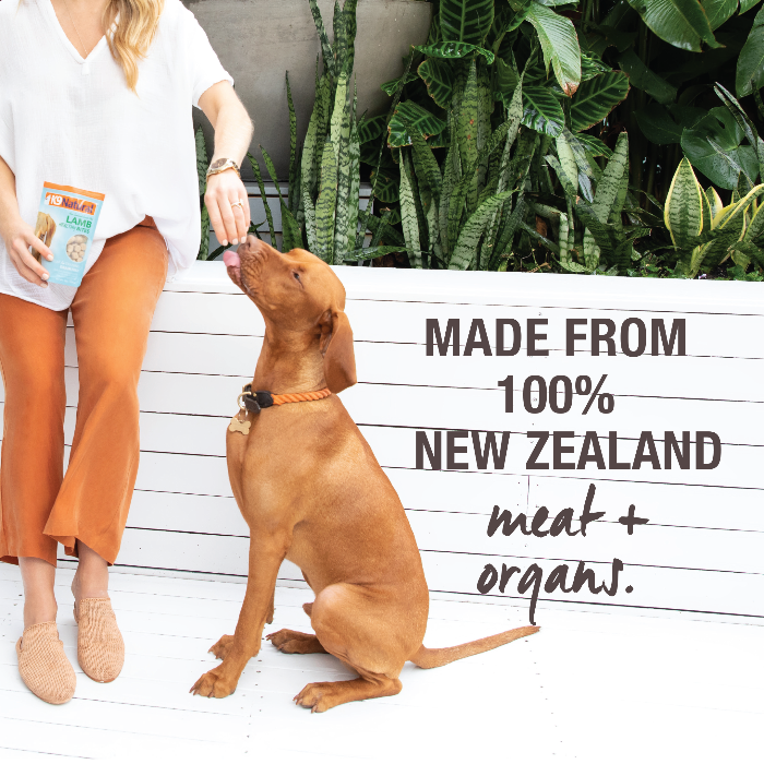 K9 NATURAL Freeze-Dried Lamb Healthy Bites Dog Treats 50G made in new zealand