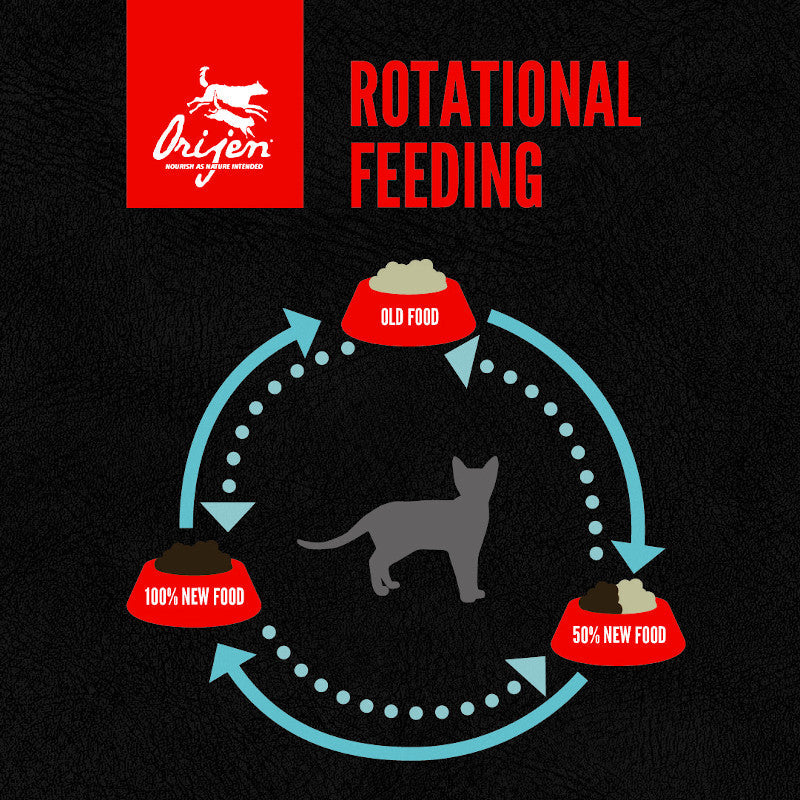 Orijen Biologically Appropriate Original Dry Cat Food 5.4KG - ADS Pet Store