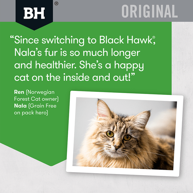 BLACK HAWK Chicken & Rice Dry Cat Food 15KG - ADS Pet Store