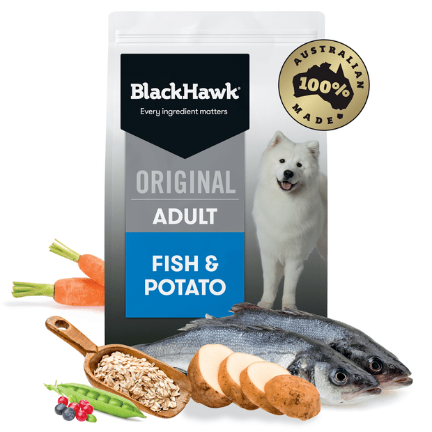 Black Hawk Dry Dog Food Adult Fish & Potato with ingredients display