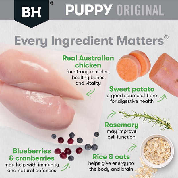 Black Hawk Original Medium Puppy Dry Dog Food Chicken & Rice