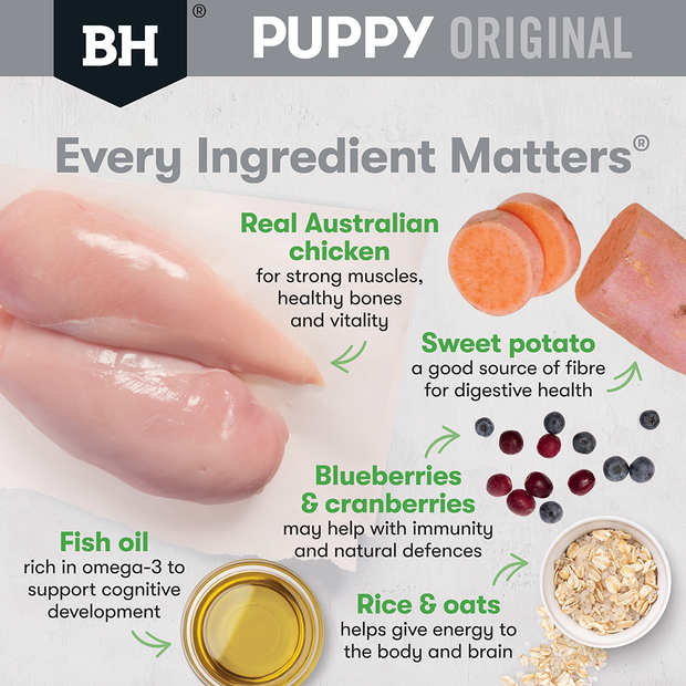 BLACK HAWK Original Small Breed Puppy Dry Dog Food Chicken & Rice