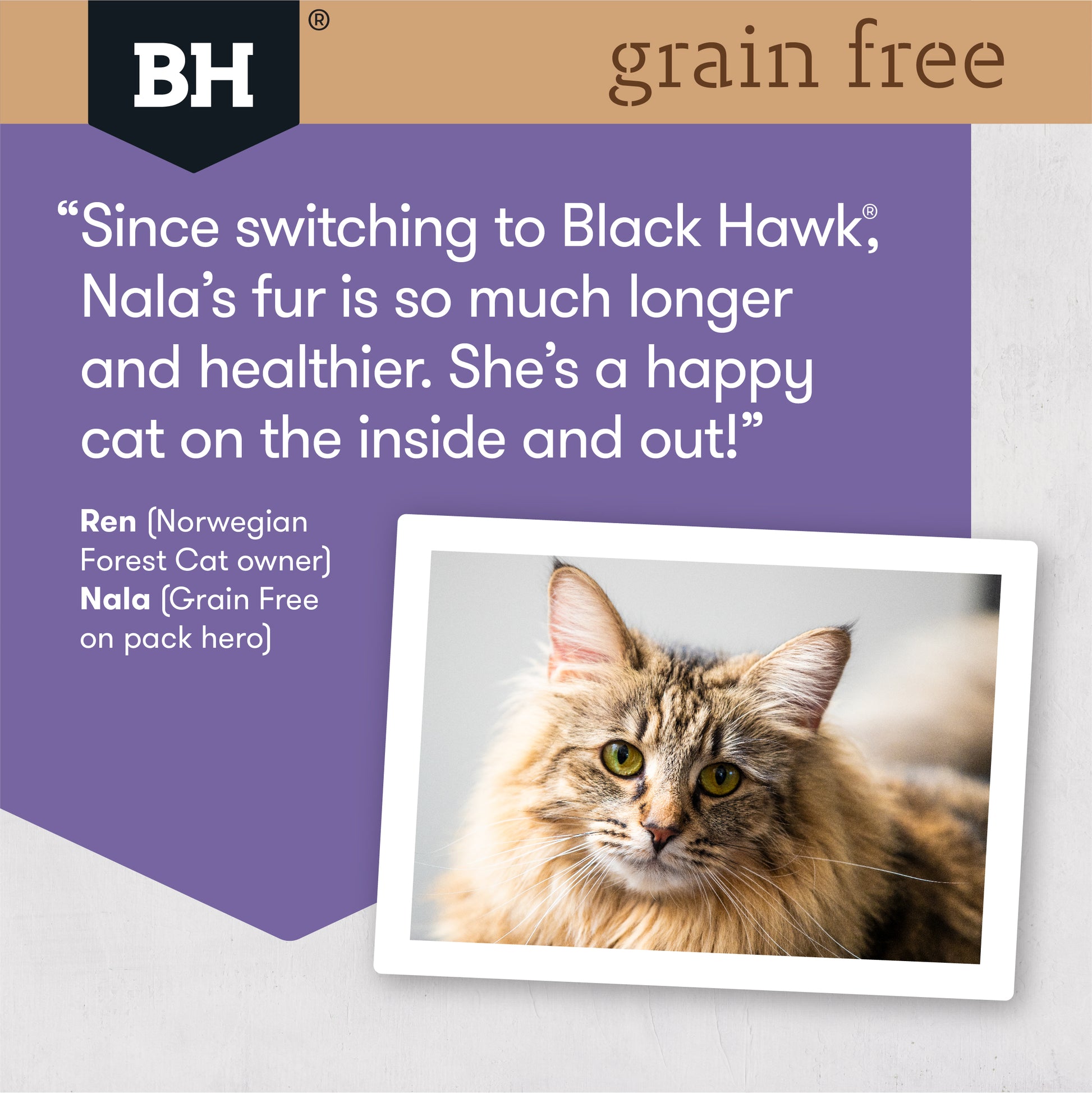 Black Hawk Grain Free Dry Cat Food Duck And Fish 6KG - ADS Pet Store