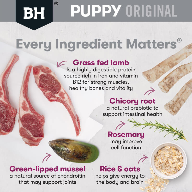 BLACK HAWK Original large Breed Puppy Dry Dog Food Lamb & Rice ingredients-benefits